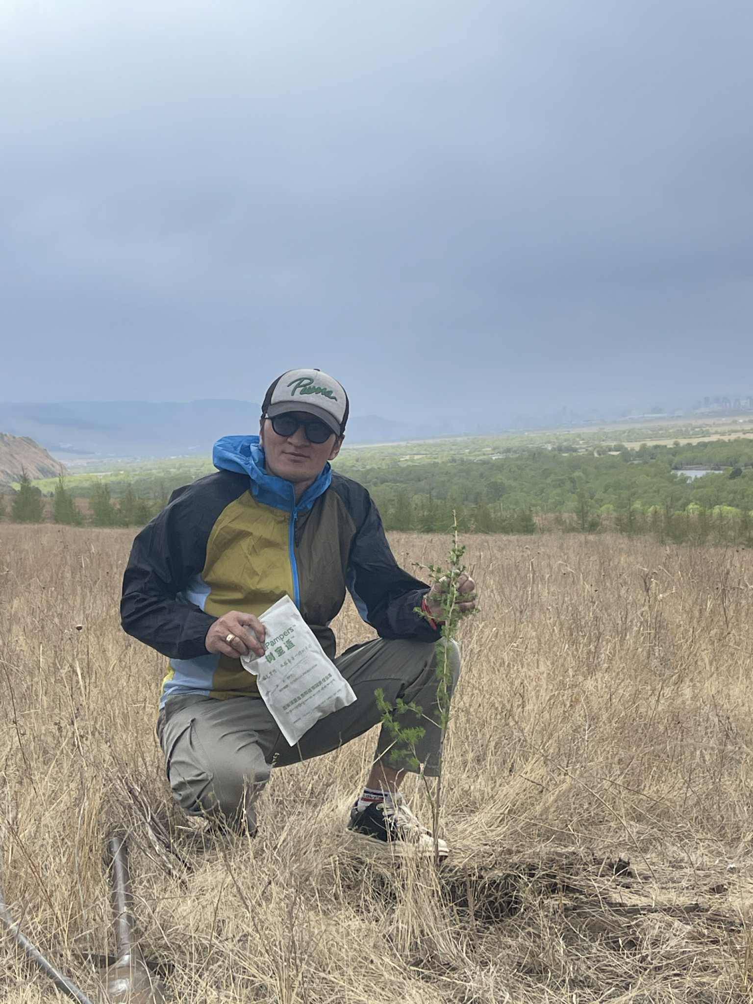 Б.Сүхбаатар: “Модны памперс” нэг модны усалгааг 40–60 хувиар бууруулна