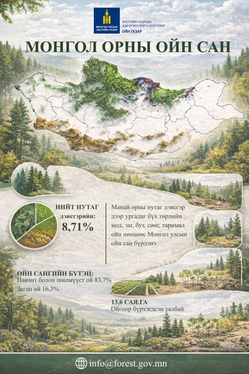 Монгол Улсын нийт газар нутгийн 8.71 хувь нь ойгоор бүрхэгджээ